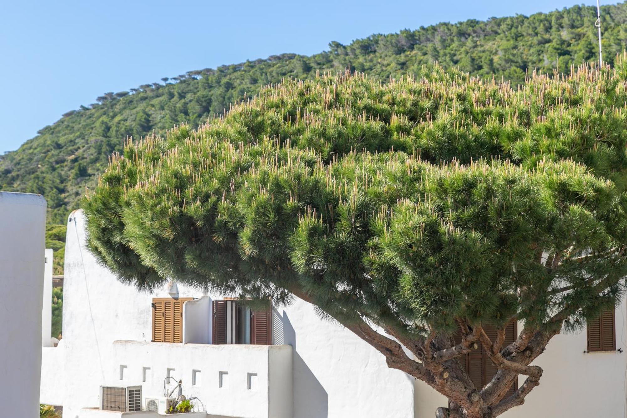 Adosado Nuevo Con Piscina, Playa, Garaje Y Jardin Los Canos De Meca Bagian luar foto
